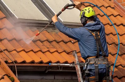 Démoussage et hydrofuge de toiture à Monléon-Magnoac